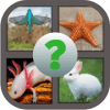 Guess the Animals Image Quiz