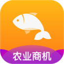 抓魚