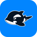 網(wǎng)魚