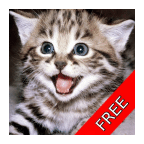 Cat and Kitten Sounds (FREE)