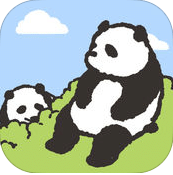 森熊猫的森林