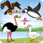 小鸟游戏的孩子游戏为幼儿的鸟类物种