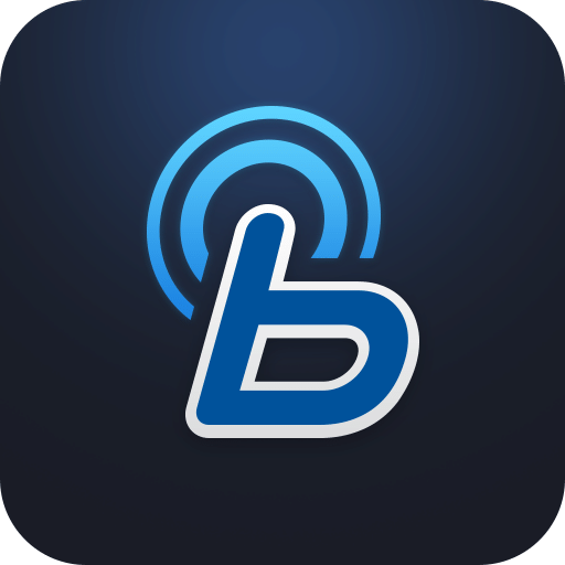 blueLinkv2.46