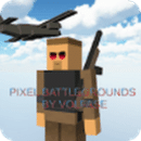 Pixel BattleGrounds