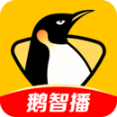 企鵝體育