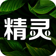 精灵之泉v1.9.24