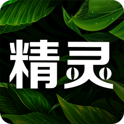 精灵之泉v1.9.28