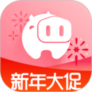 小豬