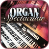 Best Organ Spectacular 2018