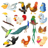 Birds - Learn, Spell, Quiz, Draw, Color and Games