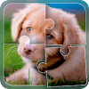 Cute Dog Jigsaw Puzzle