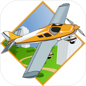 Real 3D Pilot Airplane Flight