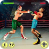 Ninja Punch Boxing Fighter Kung Fu Combat World