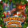 Christmas Hidden Numbers : Hidden Object 100 Level