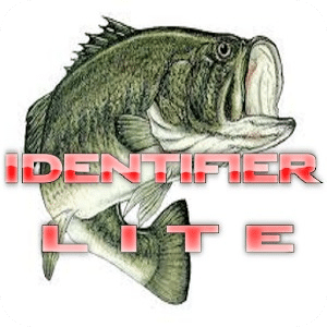 Freshwater Fishing LITE