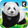 Wild Panda Family Jungle Sim