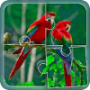 Birds Jigsaw Puzzle