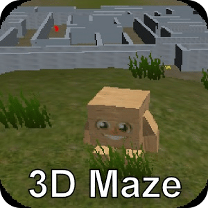 Boxy and the 3D Maze Labrinth