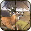 Animal Hunting Sport Wild Hunter Sniper 3D