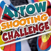Archery Bow Shooting Challenge