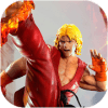 Street Fighting World : Superstar 3D