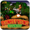 SNES Dnkey Kong country Adventure