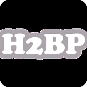 H2BP