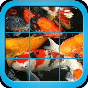 Fancy Koi Fish Puzzle Game