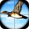Duck Sniper Shooter - Real Wild Adventure Hunting