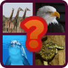 1 Pic 1 Word Animals Quiz