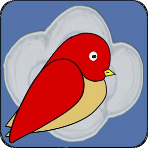 Cloudy Bird