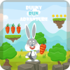 Dwarf Rabbit Adventure