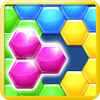 Hexagon Puzzle Blocks