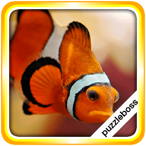 Aquarium Fish Jigsaw Puzzles