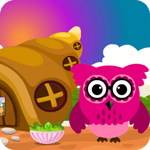 Pink Owl Rescue 3 Best Escape Game-298