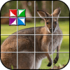 Tile Puzzle Australia