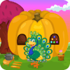 Cute Peacock Rescue Kavi Game-385