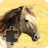 Jigsaw Puzzles with Horses