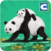 Panda Family Fun: Jungle Survival