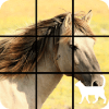 Horse Slide Puzzle