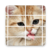 Kittens Funny Puzzle