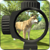 Wild Animal Shooting : Wolf Survival Hunter 2018