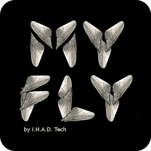 My Fly