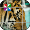 Tile Puzzle Tiger