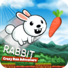 Rabbit Crazy Run- Bunny Adventure