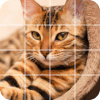 Tile Puzzle: cute cats