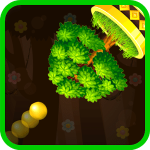 Seed Shooter - Joy of Growing Trees & Plants **