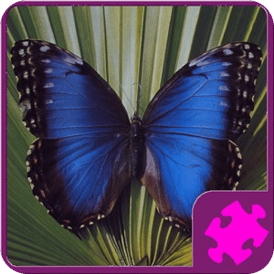 Butterfly Puzzle