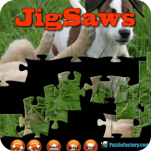 Puppy JigSaw Puzzle