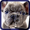 Picture Puzzle: Free Jigsaw Memory Game